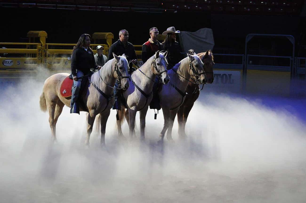Binion Was Influential In Moving The National Finals Rodeo To Las Vegas