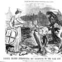 They Lived Through 'The Great Stink' Of 1858 on Random Things of Hygiene In The Victorian Era