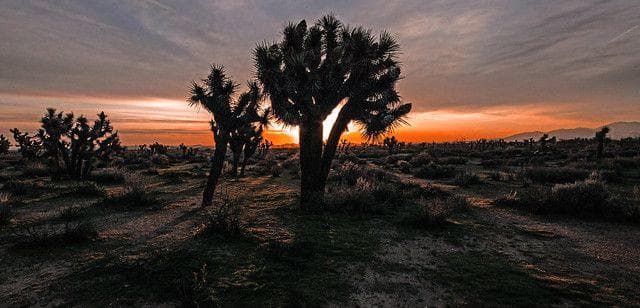 The Mojave Desert Is Home To The Road Ghost Phenomenon 