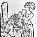 Lice And Fleas Were Pervasive on Random Things of Hygiene In A Medieval Castle