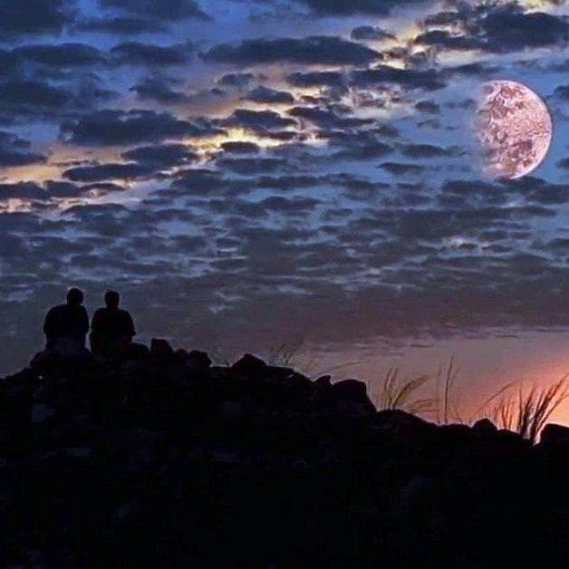 The Best Quotes From 'The Truman Show'