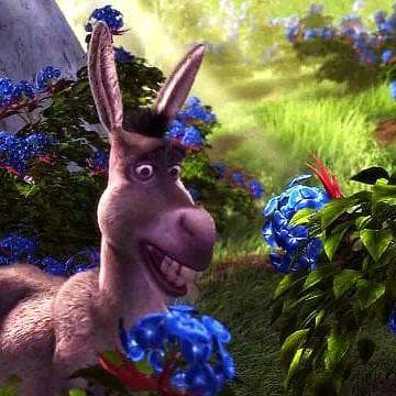 The 27 Best Quotes From 'Shrek'