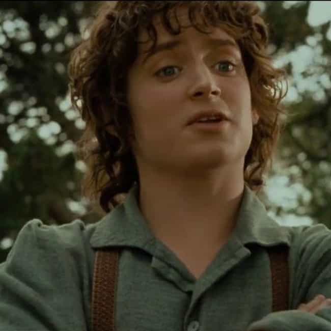 The 25 Best Frodo Baggins Quotes, Ranked (Page 2)