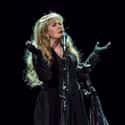She Once Made Her Assistant Take All Of Her Prescribed Medicine on Random Behind-The-Scenes Stories From Stevie Nicks's Unique Life