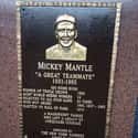 He Received A Liver Transplant In 1995, But Passed Shortly Thereafter on Random Rise And Fall Of Mickey Mantl