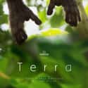 Terra on Random Best Documentary Movies Streaming on Netflix