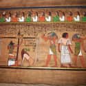 They Used Deodorant To Help Curb Body Odor on Random Things of Hygiene In Ancient Egypt