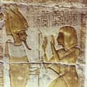 Toothbrushes, Toothpaste, And Dental Work Were Used On Teeth on Random Things of Hygiene In Ancient Egypt