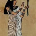 They Used Laxatives And Enemas To Cleanse Their Bodies on Random Things of Hygiene In Ancient Egypt