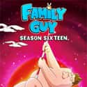 Family Guy - Season 16 on Random Best Seasons of 'Family Guy'