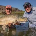 Orange River on Random Best Fly Fishing Rivers in the World