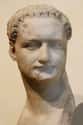 Baldness Prompted Emperors To Wear Wigs on Random Details About Hygiene of An Ancient Roman Emperor