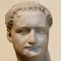 Baldness Prompted Emperors To Wear Wigs on Random Details About Hygiene of An Ancient Roman Emperor