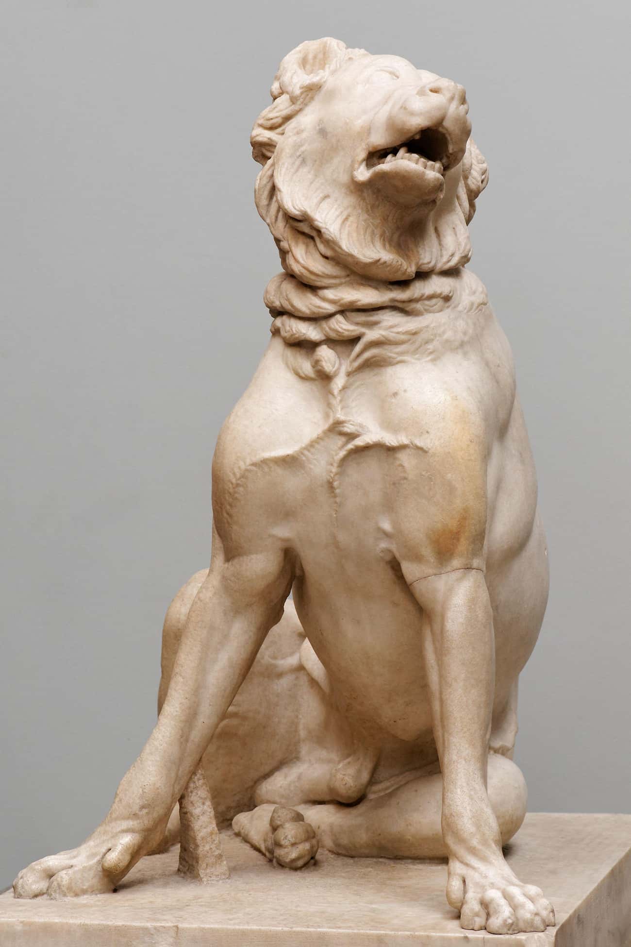 Ancient Romans Supposedly Used Animals Resembling Early Bulldogs