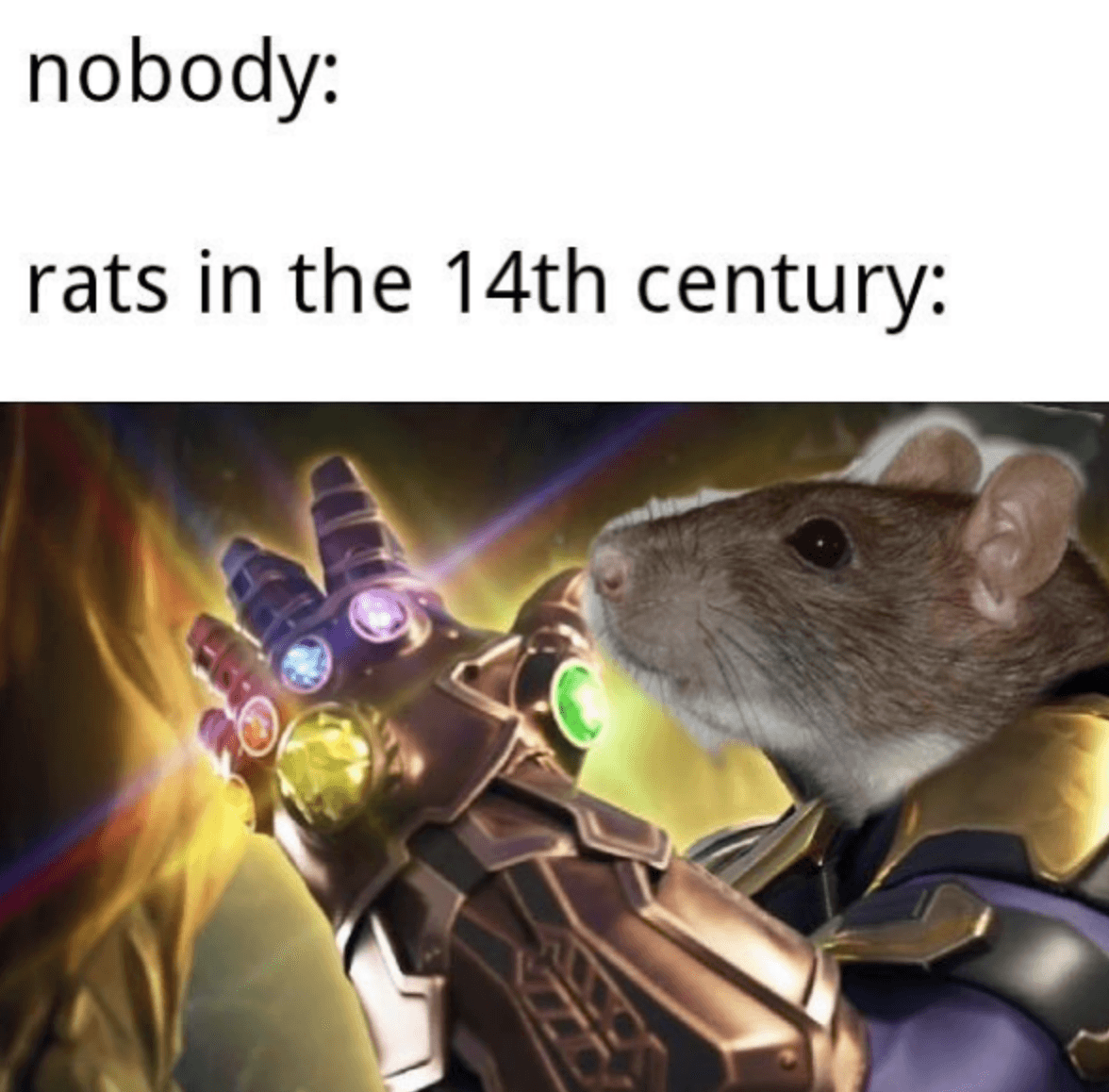 The 15 Funniest No One Memes We Could Find