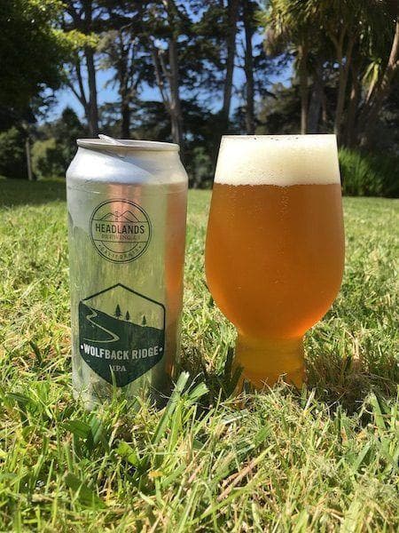The 100 Top SF Beers You Have To Try, Ranked By Beer Lovers