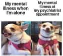 Ebb And Flow on Random Mental Health Memes That Are Both Funny And Sad