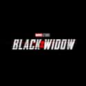 Black Widow Starts Phase 4 On November 6, 2020 on Random Things We Now Know Is Coming In Post-'Endgame' MCU
