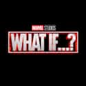 Marvel Studios Asks ‘What If…?’ In The Summer Of 2021 on Random Things We Now Know Is Coming In Post-'Endgame' MCU