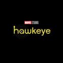 Multiple Hawkeyes Arrive In 2022 on Random Things We Now Know Is Coming In Post-'Endgame' MCU