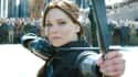 She Owns A Bow And Arrow And Once Used It For Defense on Random Facts You Never Knew About Jennifer Lawrence