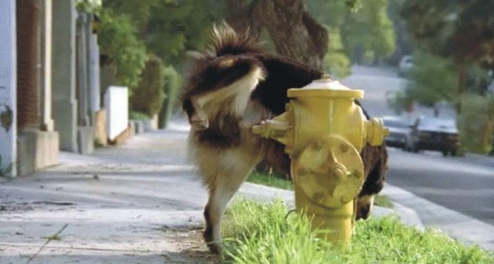 Man S Best Friend Is A Charmingly Stupid 90s Horror Movie