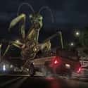 giant praying mantis on Random Scariest Horror Movie Animals