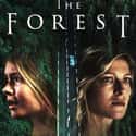 The Forest on Random Best "Netflix and Chill" Movies Available Now