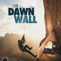 The Dawn Wall on Random Best Documentary Movies Streaming on Netflix