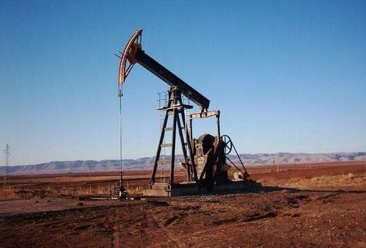 How Did Dinosaurs Become Oil?