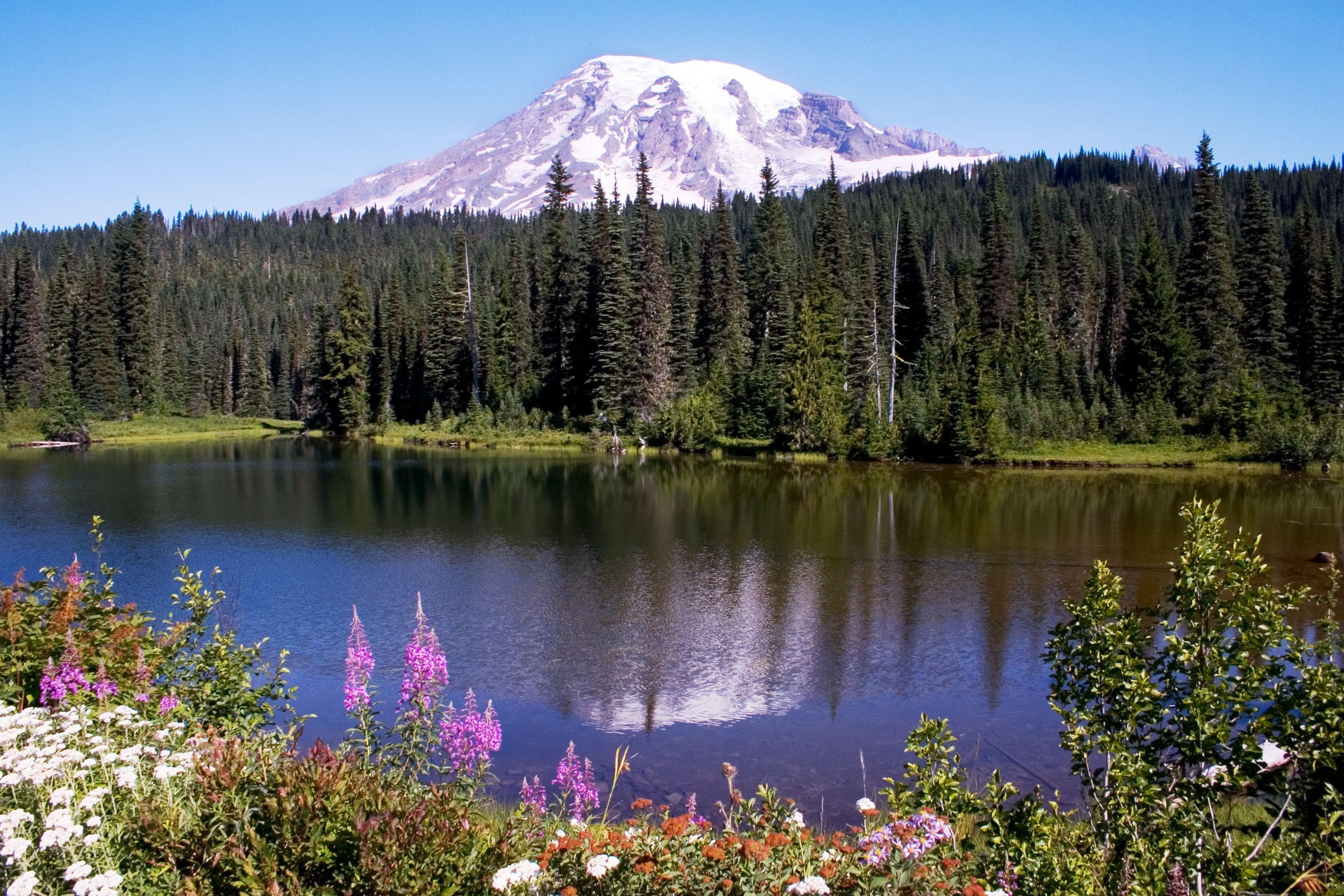 What Would Happen If Mount Rainier Erupted?