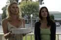 Nicollette Sheridan And Teri Hatcher On 'Desperate Housewives' on Random TV Best Friends Who Hated Each Other In Real Life