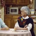 Bea Arthur And Betty White On 'The Golden Girls' on Random TV Best Friends Who Hated Each Other In Real Life