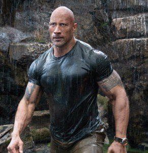 The Top Quotes From The Movie 'Hobbs & Shaw'