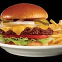 Prime Steakburger N Fries  on Random Best Things To Eat At Steak 'n Shak