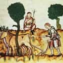 Peasants Used Twigs To Clean Their Teeth on Random Details About Hygiene of Medieval Peasants