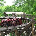 Outlaw Run on Random Best Roller Coasters in the World