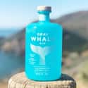 Gray Whale on Random Best Gin Brands