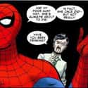 Are We Writing for Spiderman Now? on Random Funniest Spider-Man Quips in Comics