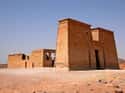 They Built Towers To Escape Mosquitos on Random Things of Hygiene In Ancient Egypt
