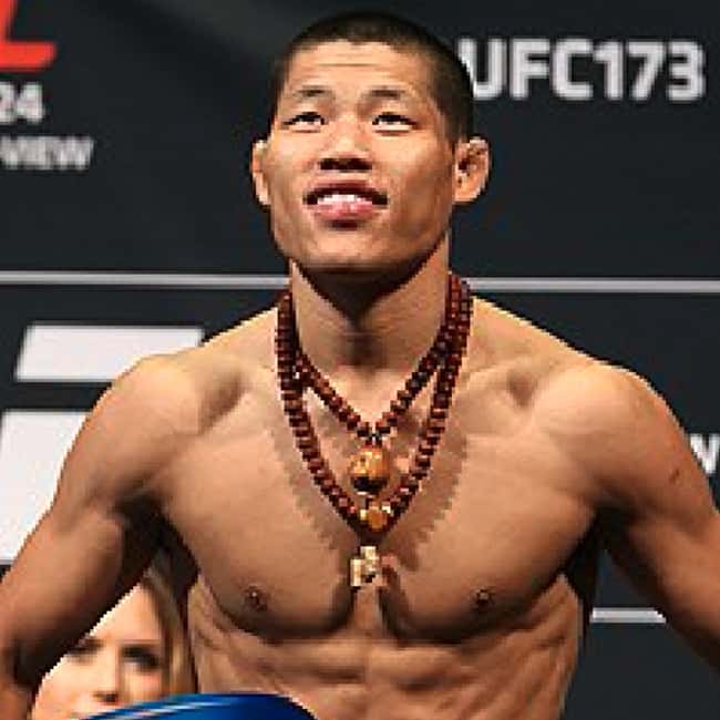 The Best Chinese UFC Fighters Of All Time, Ranked By Fans