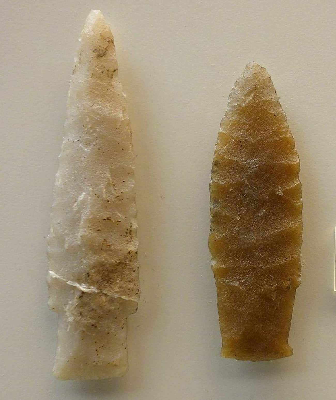 Spear Tips In South Africa Suggest Human Ancestors Made Tools 250,000 Years Earlier Than Previously Thought