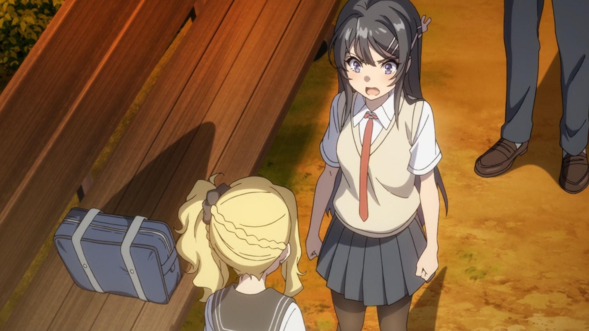 Rascal Does Not Dream of Bunny Girl Senpai / Characters - TV Tropes