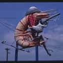 Cowboy Shrimp, Houston, TX on Random Bizarre Roadside Attractions From Across America