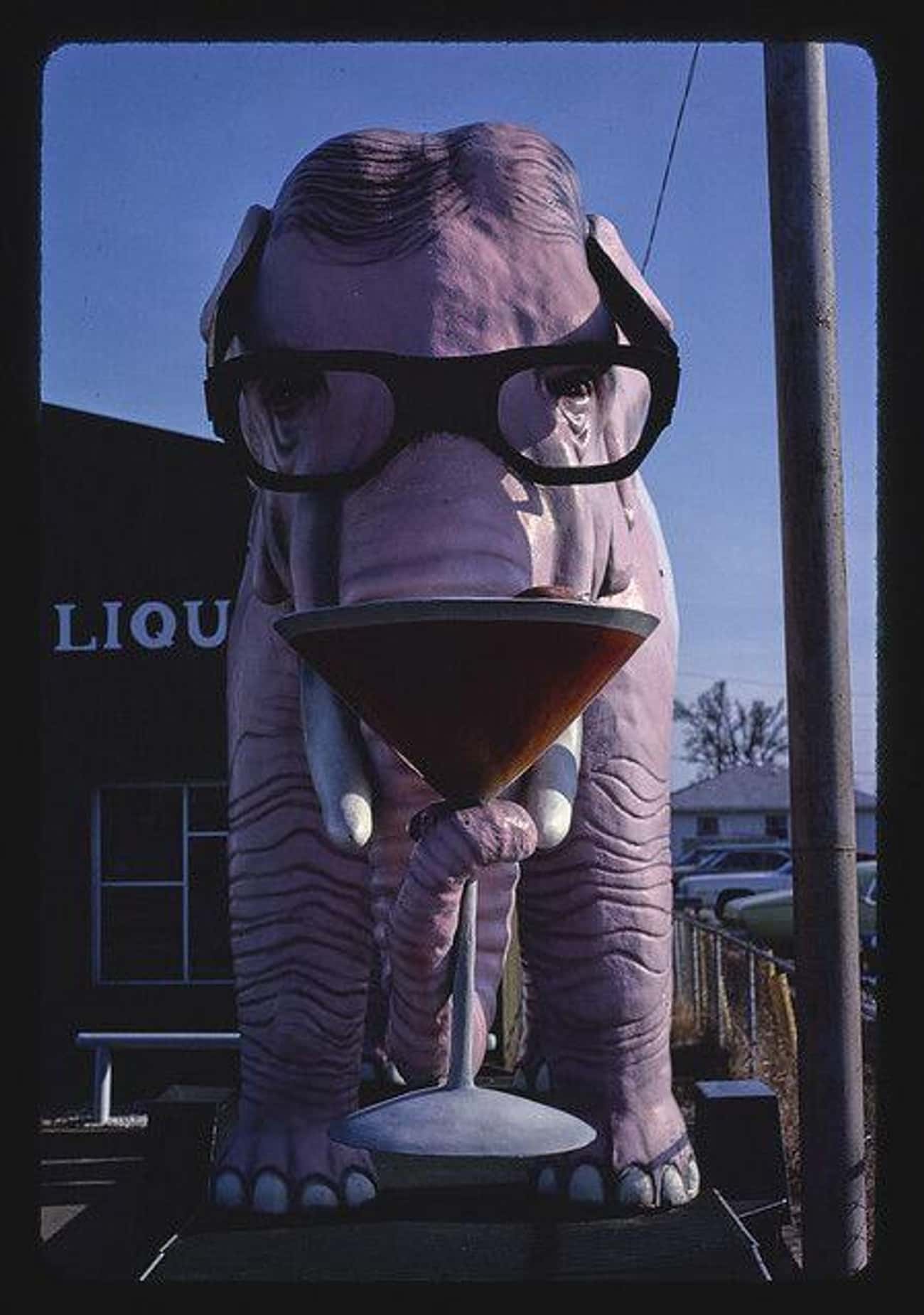 Drinking Elephant, Fortville, IN