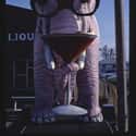 Drinking Elephant, McCordsville, IN on Random Bizarre Roadside Attractions From Across America