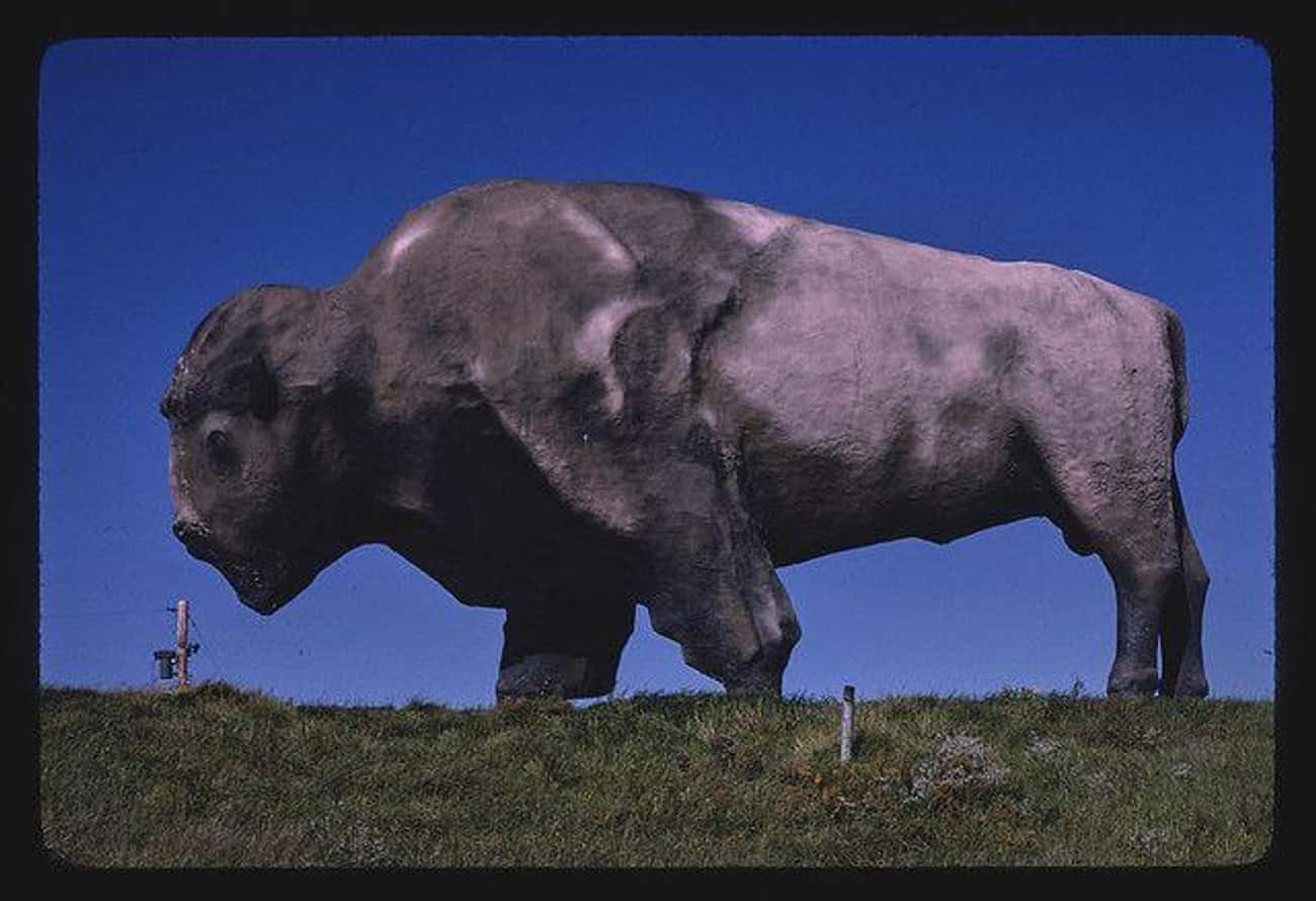 World's Largest Buffalo, Jamestown, ND