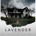 Lavender on Random Best Suspense Movies on Netflix