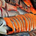 Salmon Stew on Random Surprising Foods Prospectors Ate To Survive Gold Rush