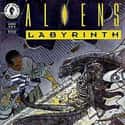 Aliens: Labyrinth on Random Best Aliens Comic Book Series